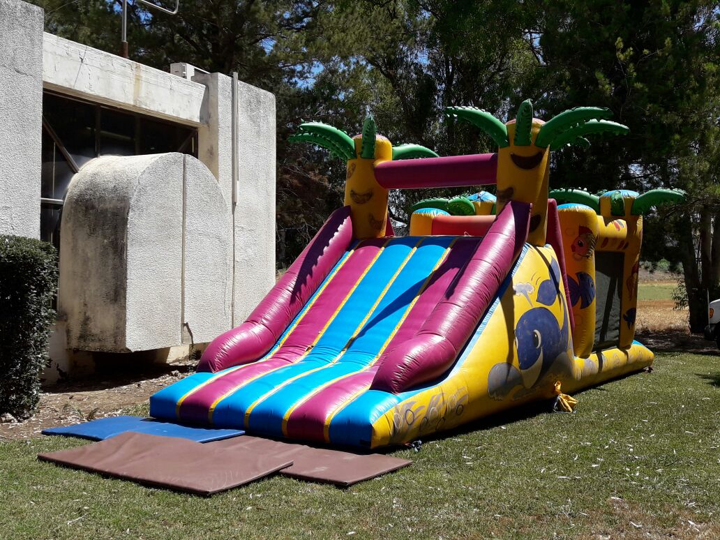 Read more about the article מתנפח אתגרון