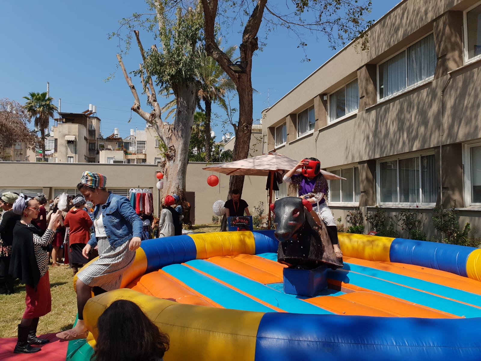 Read more about the article השור הזועם