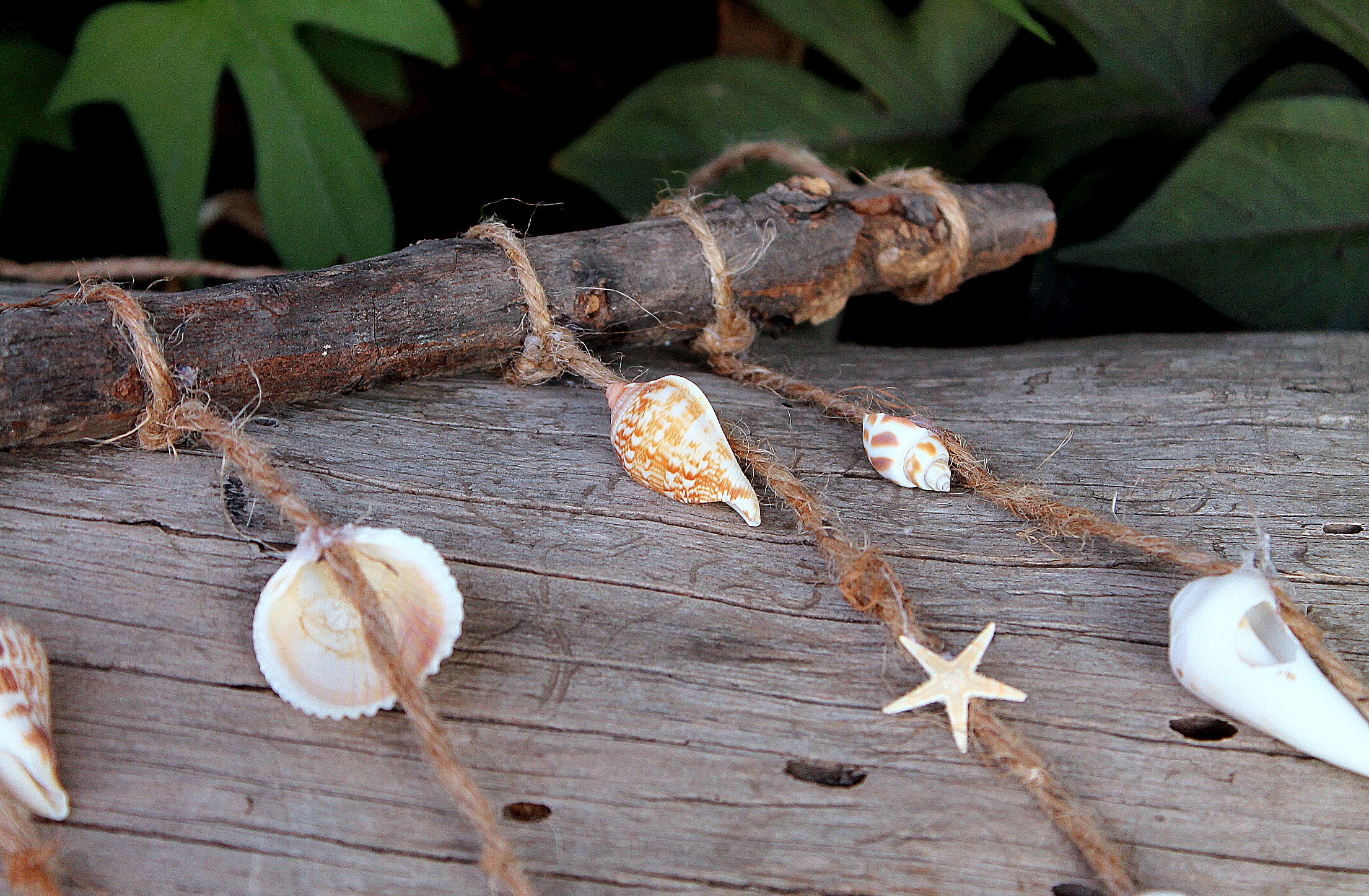 Read more about the article סדנת "אוצרות מן הים"