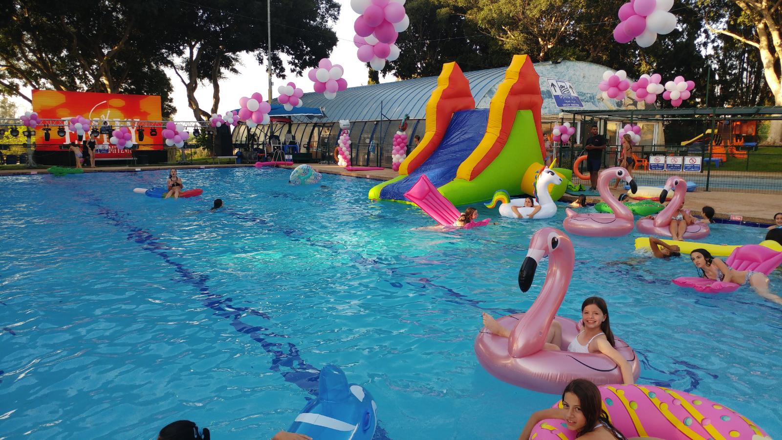 Read more about the article מגלשת דולפין מאתגרת